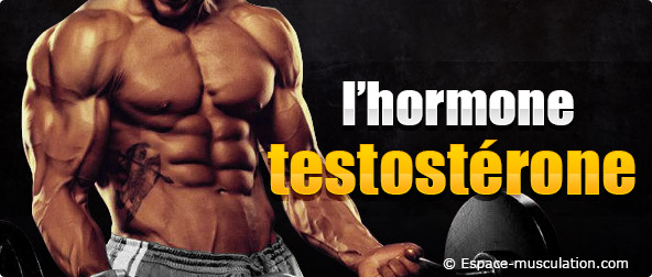 acheter testosterone musculation