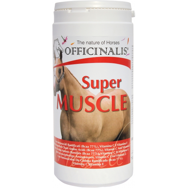 aliment muscle
