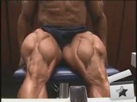 cuisse musculation