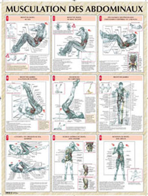 exercice de musculation abdominaux