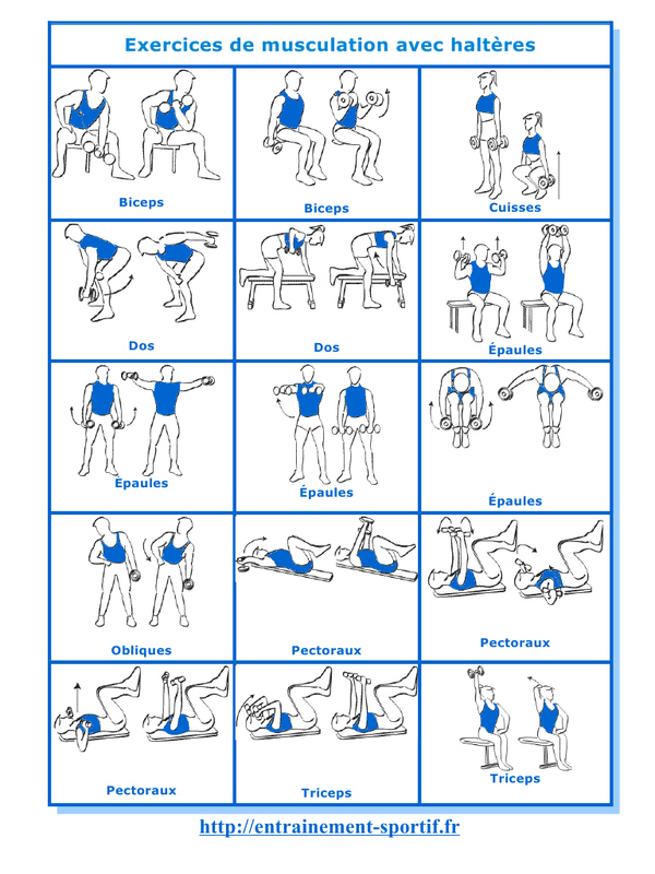 exercice de musculation pdf