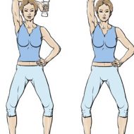 Exercice muscler les bras