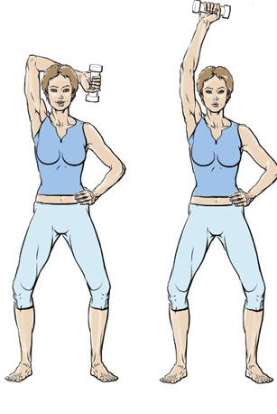 exercice muscler les bras