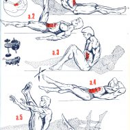 Exercice musculation abdominaux