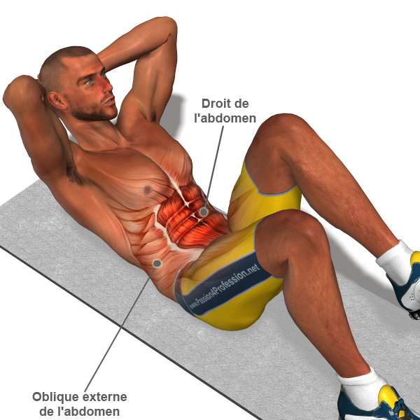exercice musculation abdominaux homme