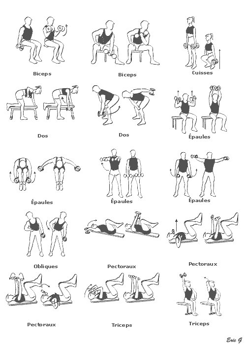 exercice musculation avec haltères