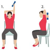 Exercice musculation bras femme