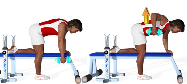 exercice musculation dorsaux