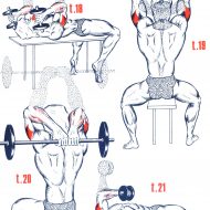 Exercice musculation triceps