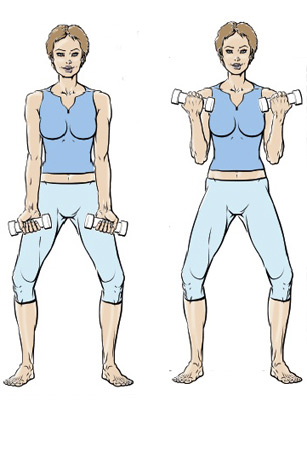 exercice pour muscler les biceps