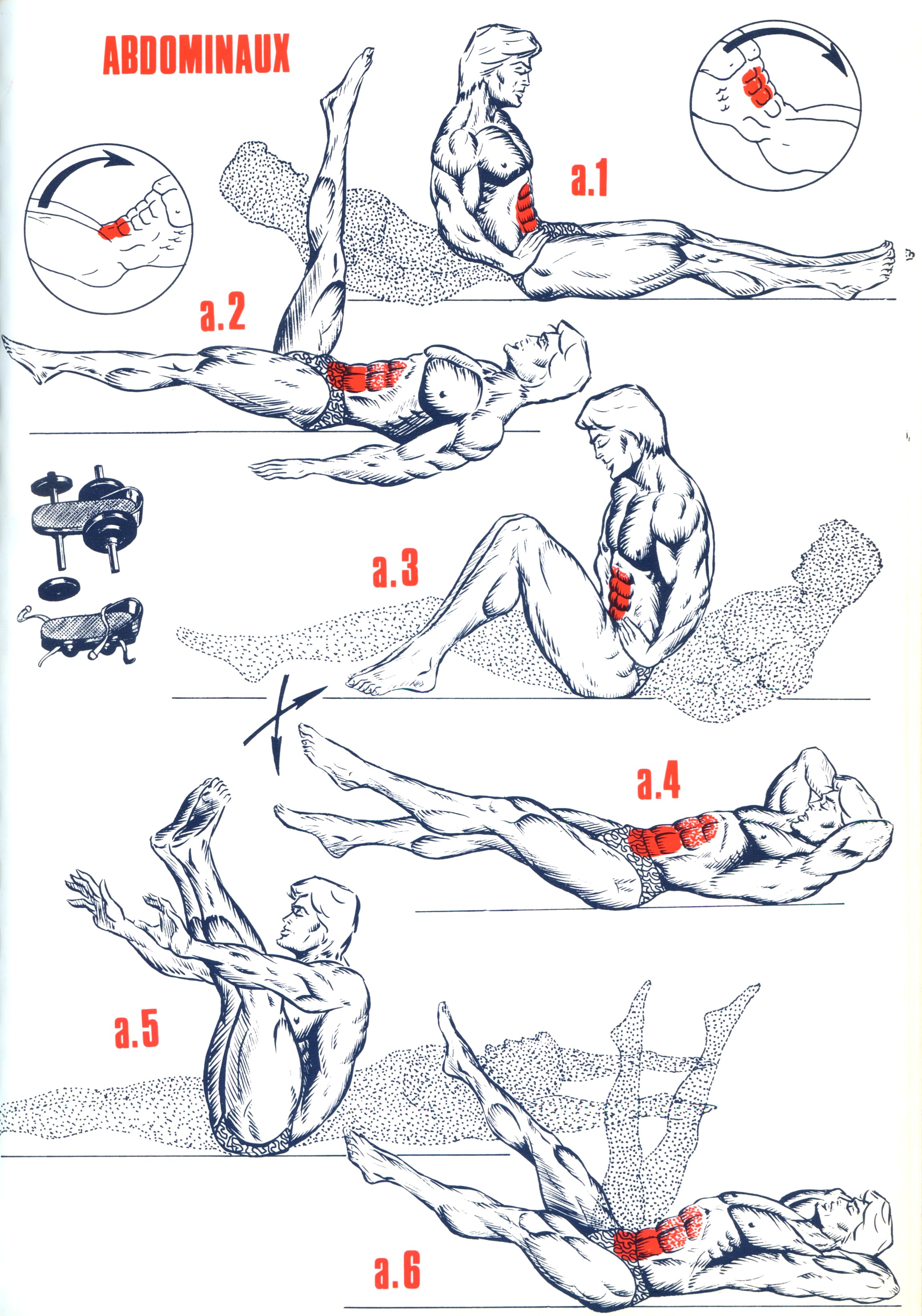 exercices de musculation abdominaux