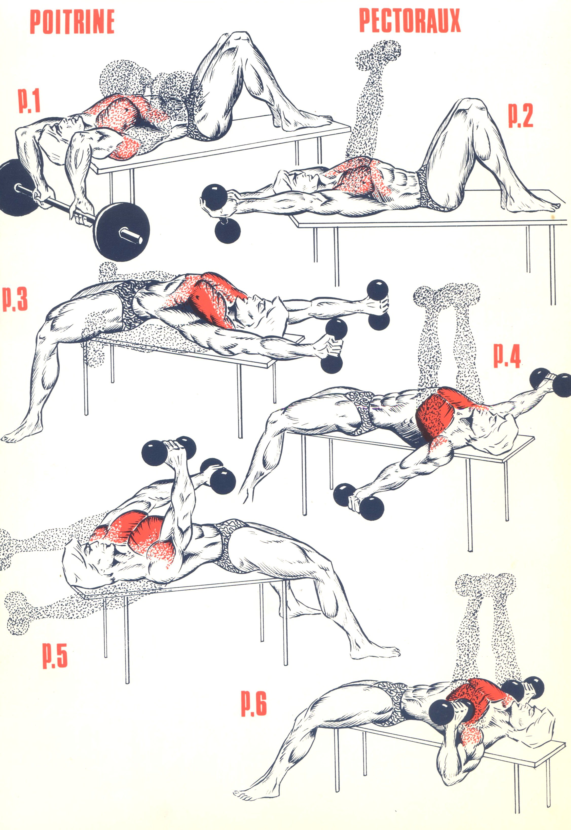 exercices de musculation pectoraux