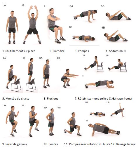 exercices de musculation