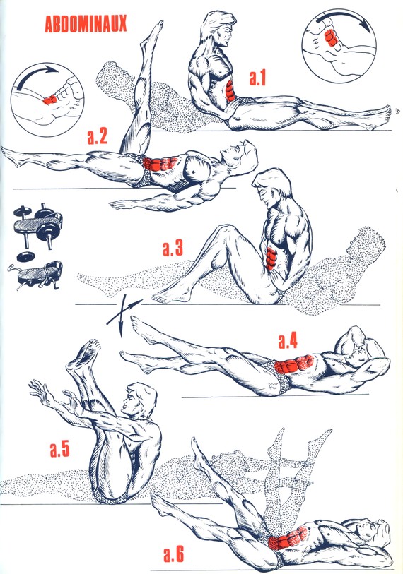 exercices musculation abdos