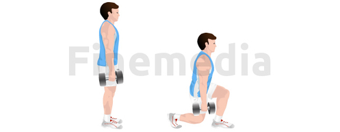 exercices musculation cuisses