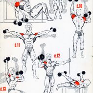 Exercices musculation épaules