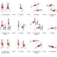 Exercices musculation maison