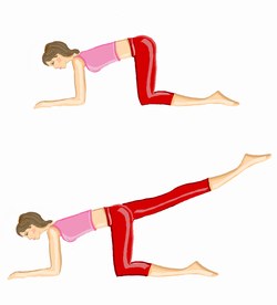 exercices pour muscler les fesses