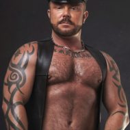 Gay bear muscle