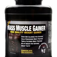 Muscle gainer