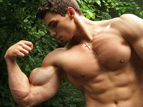 muscle gay