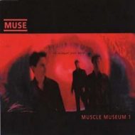 Muscle museum muse