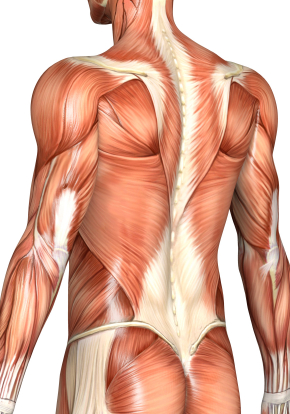 muscle pain treatment