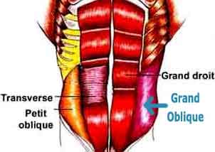 muscler abdominaux obliques