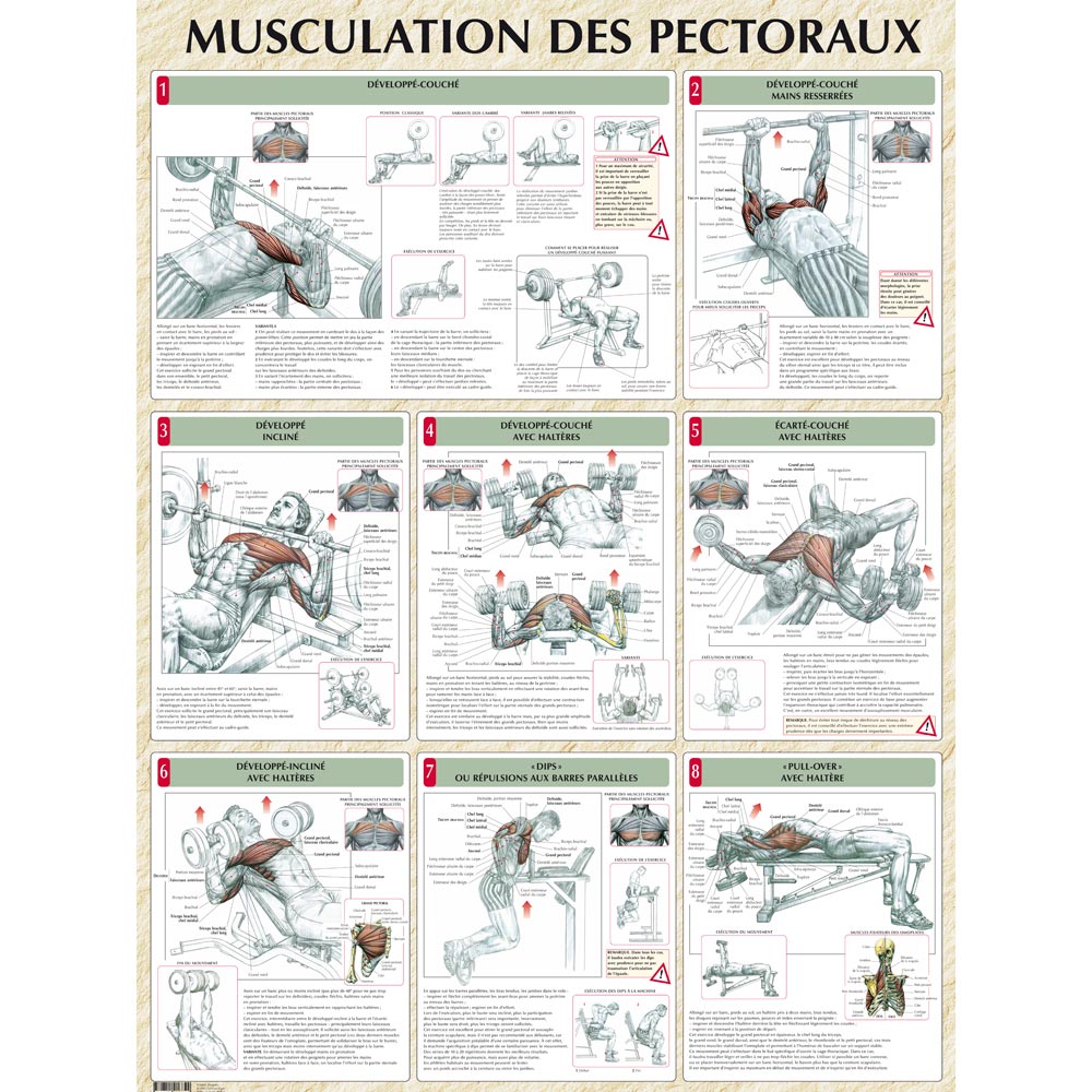 musculation des pectoraux