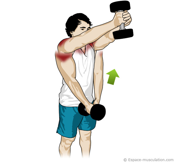 musculation épaules haltères