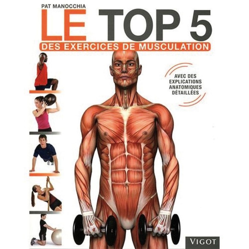 musculation rapide