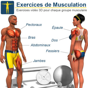 musculations