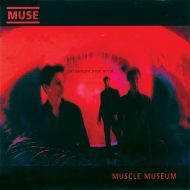 Muse muscle museum