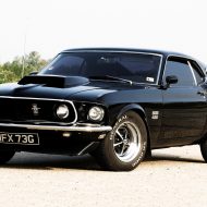 Mustang muscle