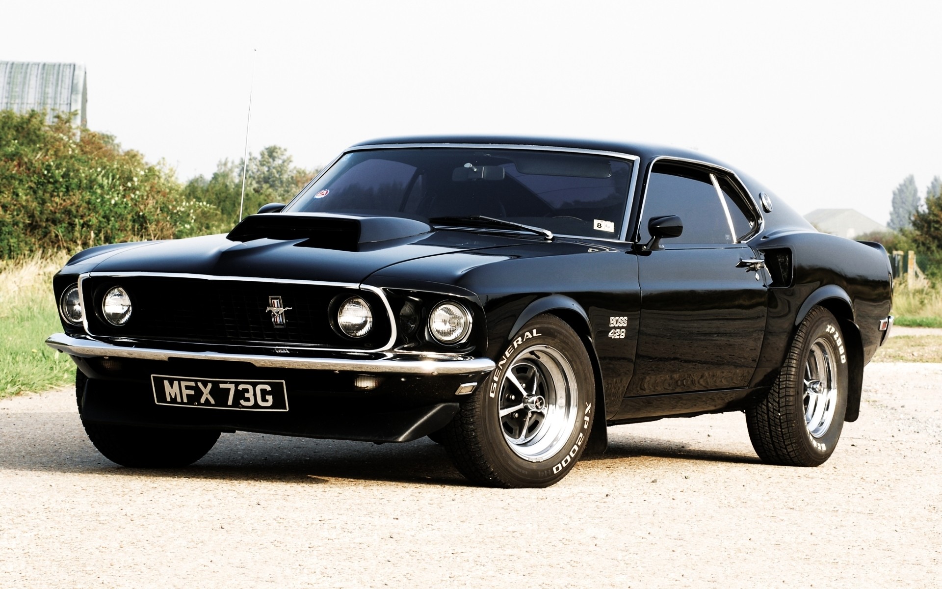 mustang muscle