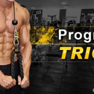 Programme de musculation triceps
