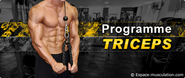 programme de musculation triceps