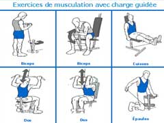 programme du musculation