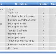 Programme exercice musculation