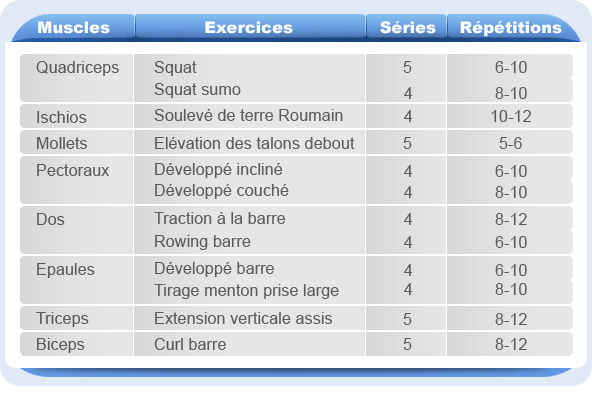 programme exercice musculation