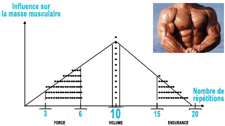 programme musculation masse musculaire