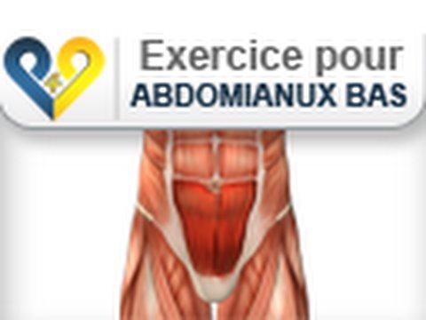 programme musculation ventre