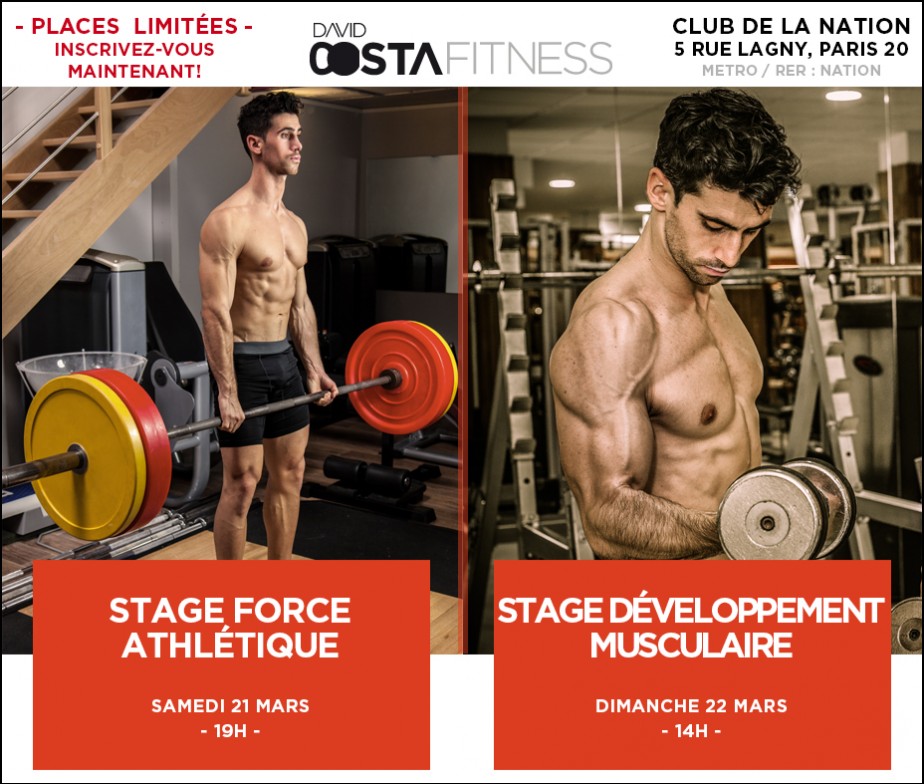 stage musculation