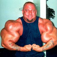 Synthol musculation
